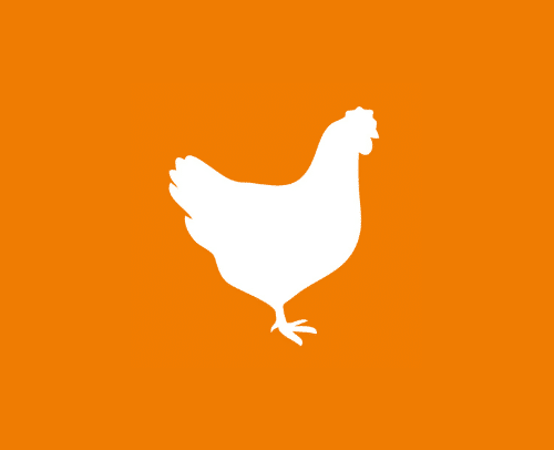 poultry icon