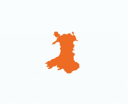 welsh icon